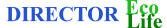 Director web